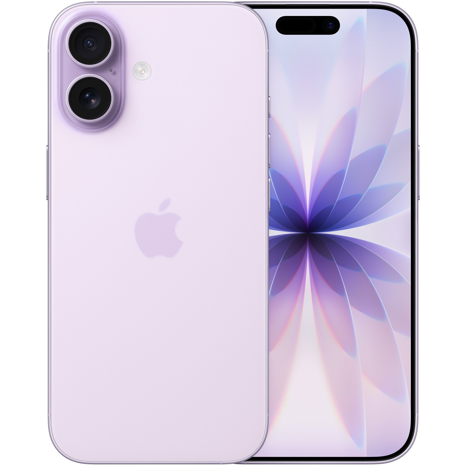 iPhone 17 · 256GB